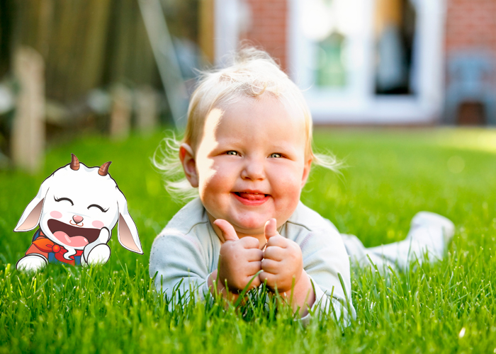 推荐一款低乳糖低过敏的奶粉,100%纯羊乳蛋白奶粉