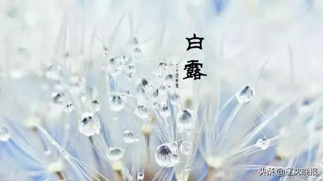 沈阳的全年天气怎么样啊,沈阳天气到底有多冷