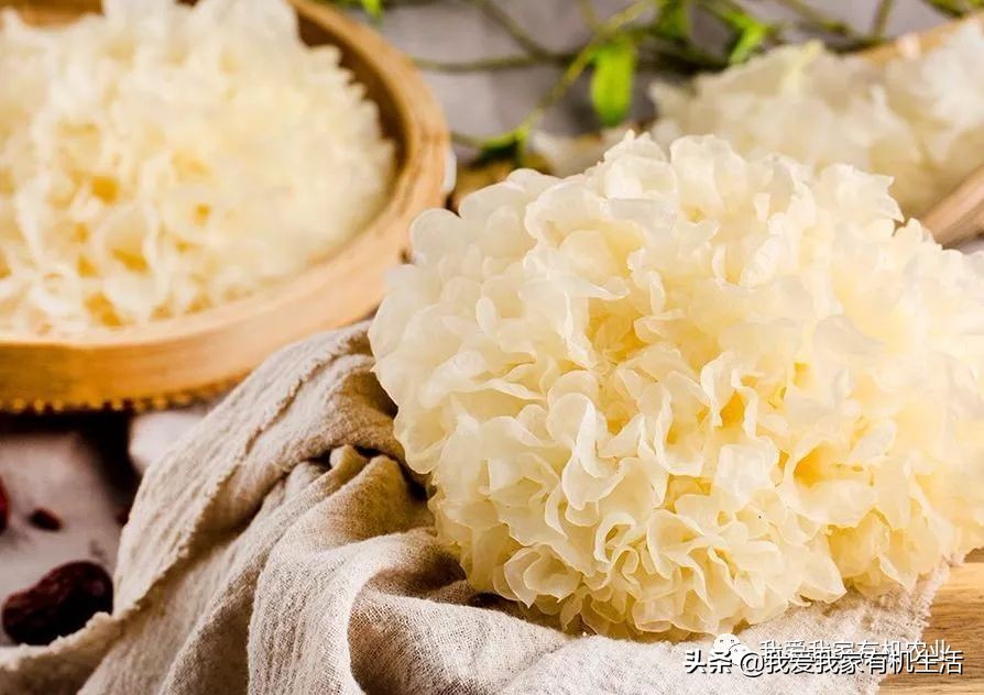 怎么把银耳煮得软糯出胶,银耳怎么煮才容易出胶的窍门