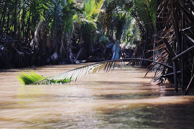 夜游湄公河在哪里看到景点,穿行在路上