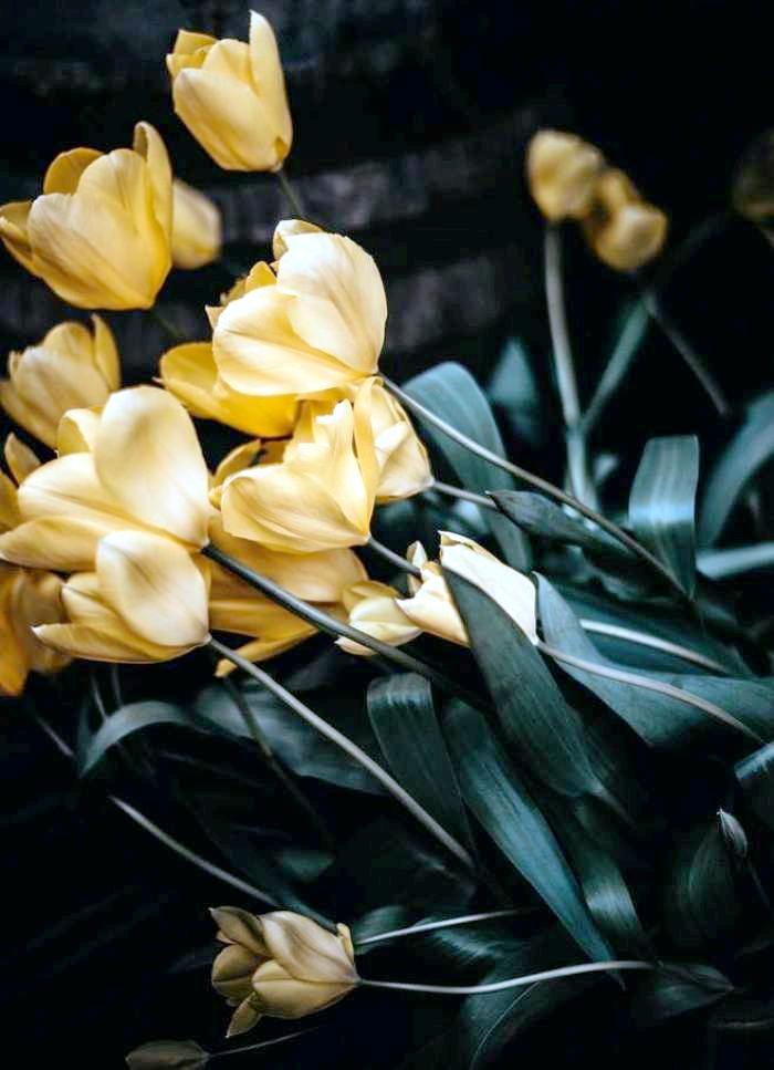 金句励志正能量人生语录大全,激励人心的句子正能量经典语录