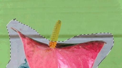 photoshop怎么局部填充颜色,photoshop填充图案怎么设置