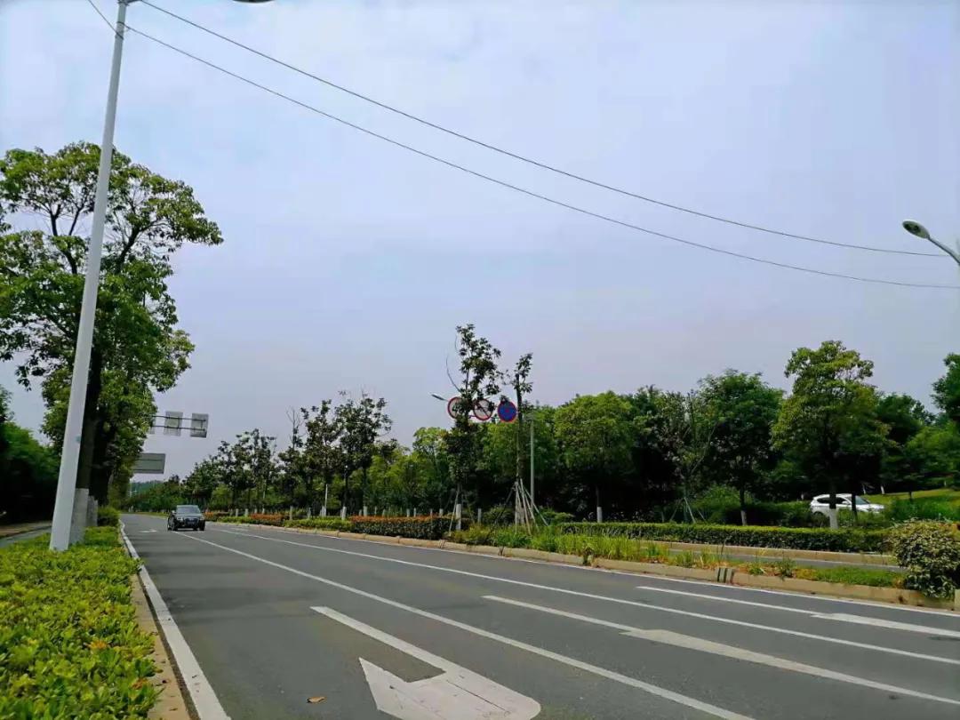 一房难求的紫东核心区，离真正腾飞还有多久？