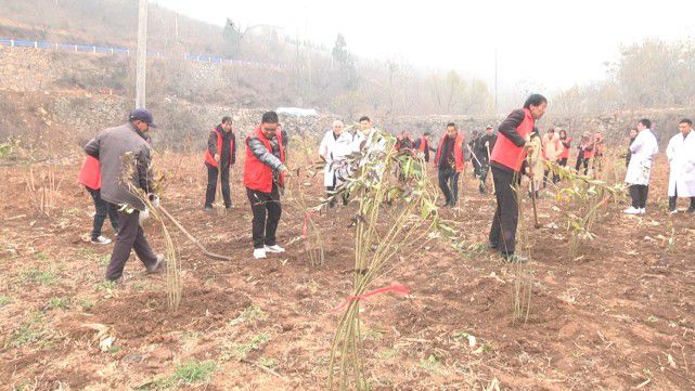 河南老中医尚飞都市报道,祖传老中医尚飞