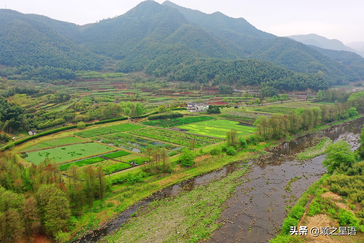 宁波牡丹花园有哪些,宁波古今牡丹园