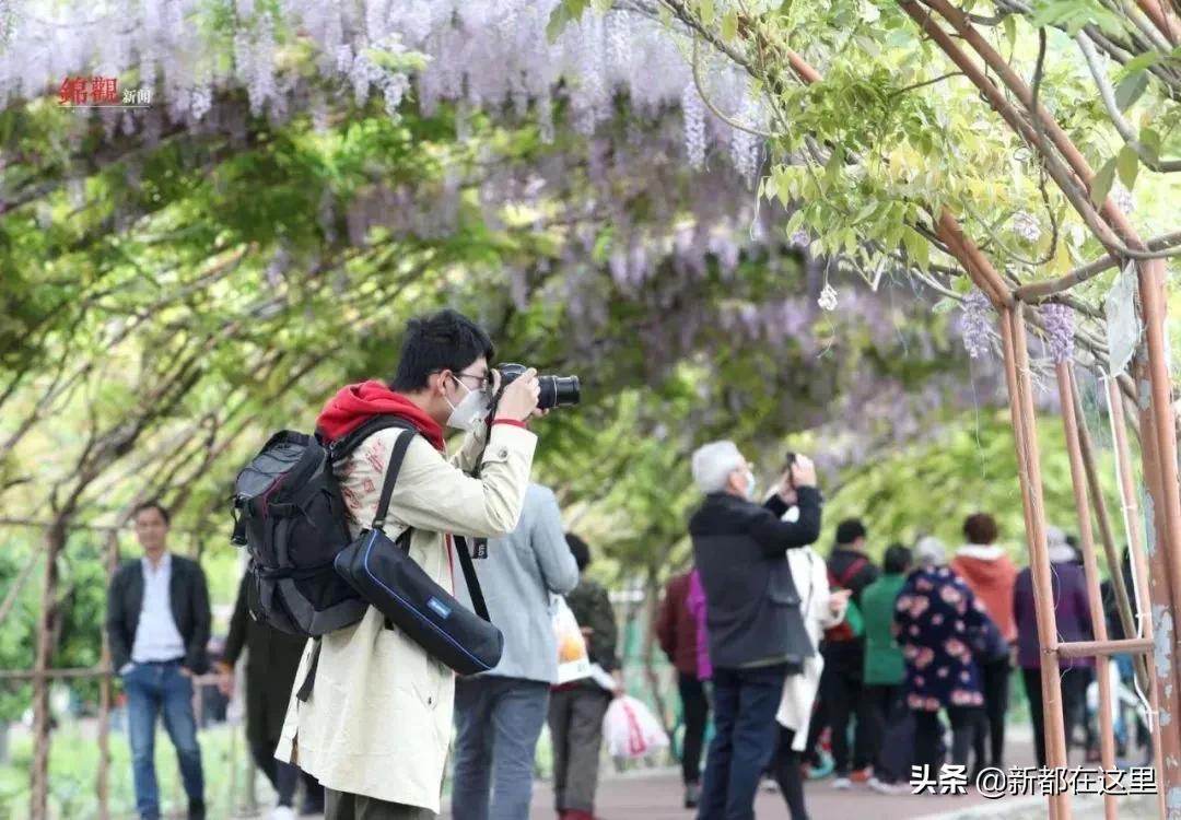 这才是9月最值得去的地方,4月最值得去的地方