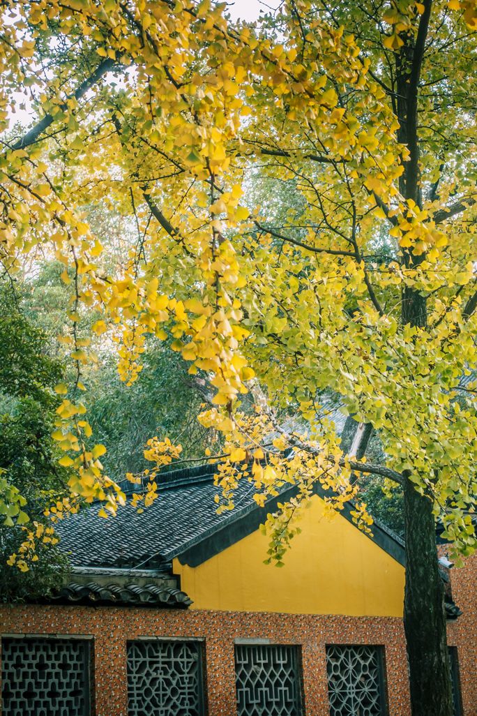 最漂亮的雨花台,雨花台风景太美了