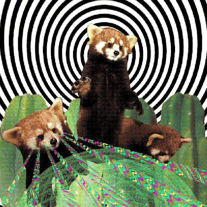 头发昏两眼发蒙,头发昏感觉天旋地转50多岁