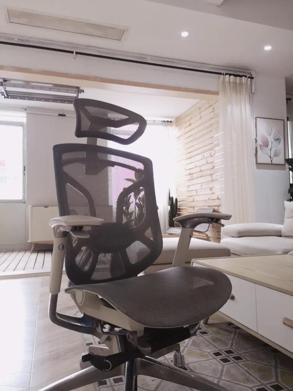 ergoup有谱人体工学椅推荐,人体工学椅评测2021