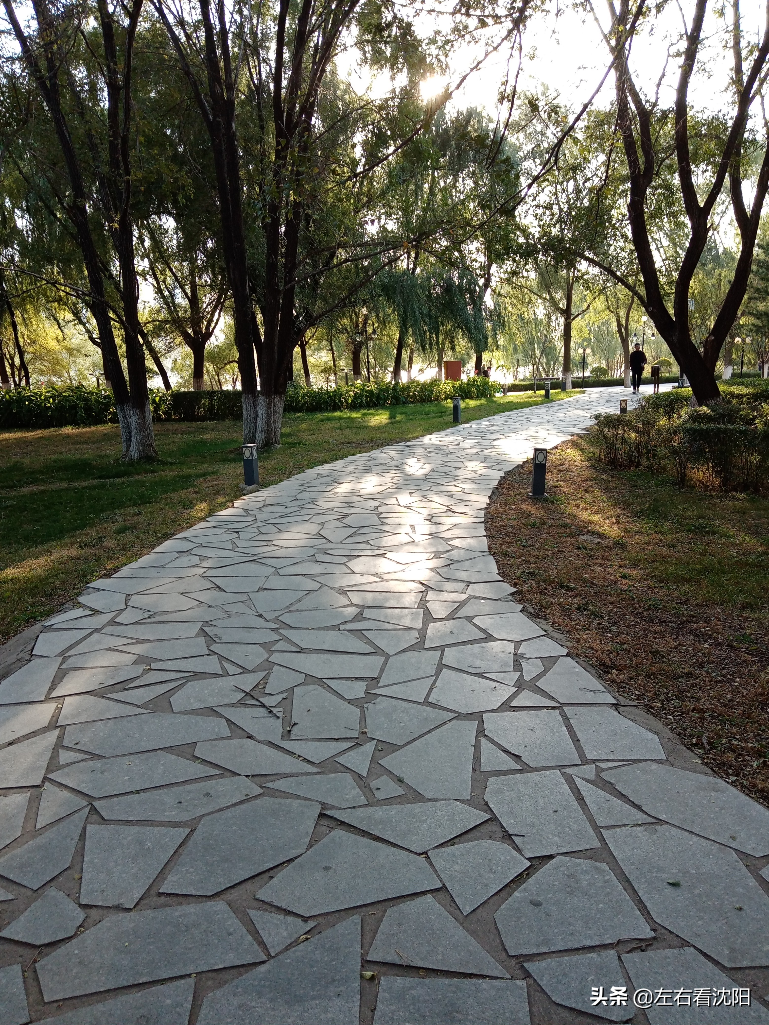 沈阳沈水湾公园看日出,沈阳浑河看海的地方