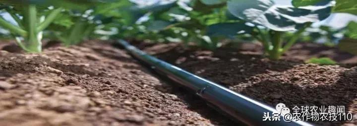 以色列用什么水和什么水灌溉农田,以色列进口水肥一体化灌溉设备