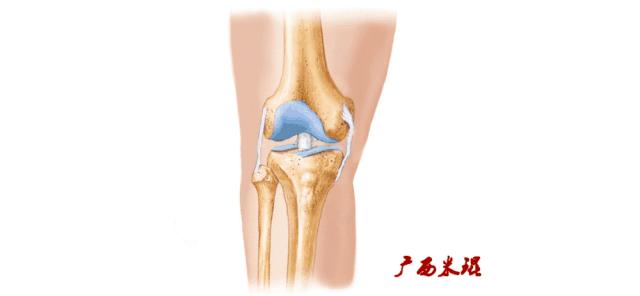 膝盖扭伤前交叉韧带损伤可以热敷,前交叉韧带扭伤最快自愈方法