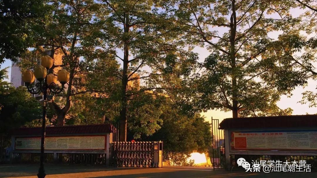 汕尾排名前十学校,汕尾海丰母校