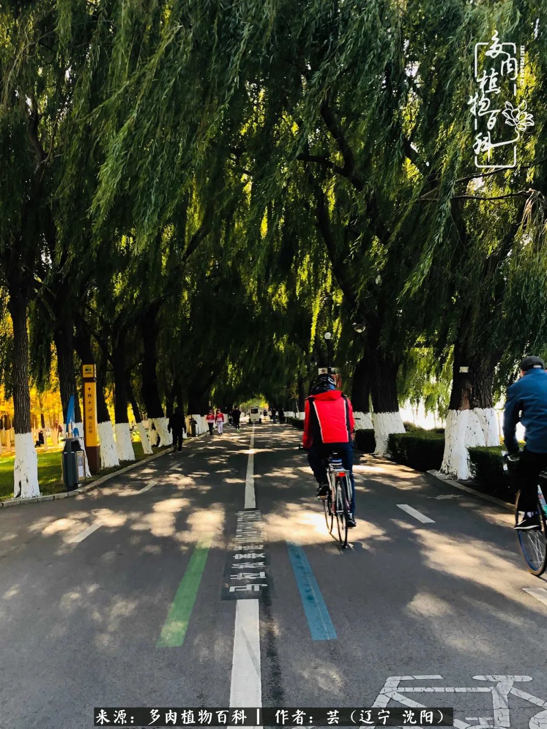 万物皆有灵性有因必有果,万物皆有灵性与生命