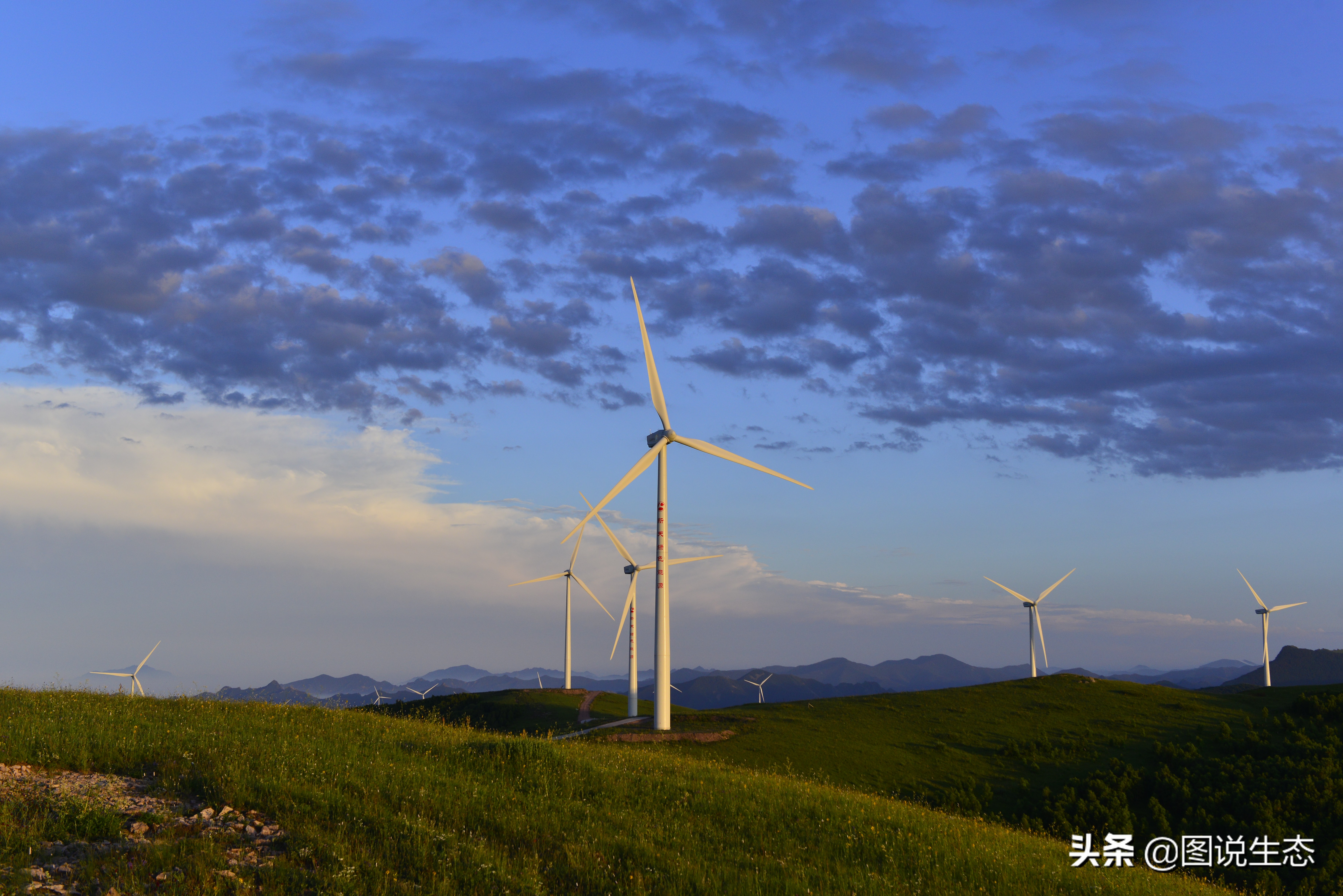 20年风雨治沙路，绿水青山秀丰宁