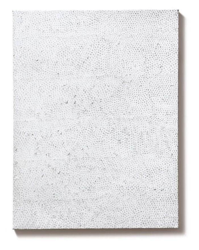 一个女人画一张网，价值7000万港币！