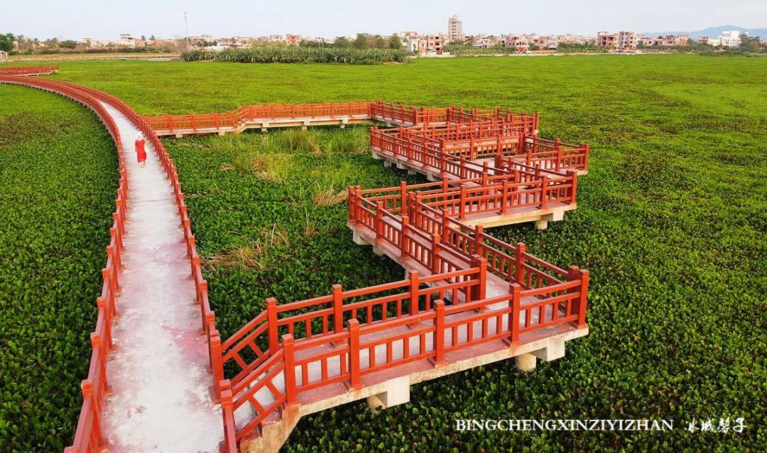 海南乐东九所康养度假村,海南乐东九所康养基地有哪些