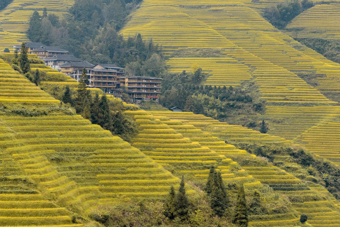 世界奇观龙脊梯田视频,世界梯田之冠桂林龙脊梯田