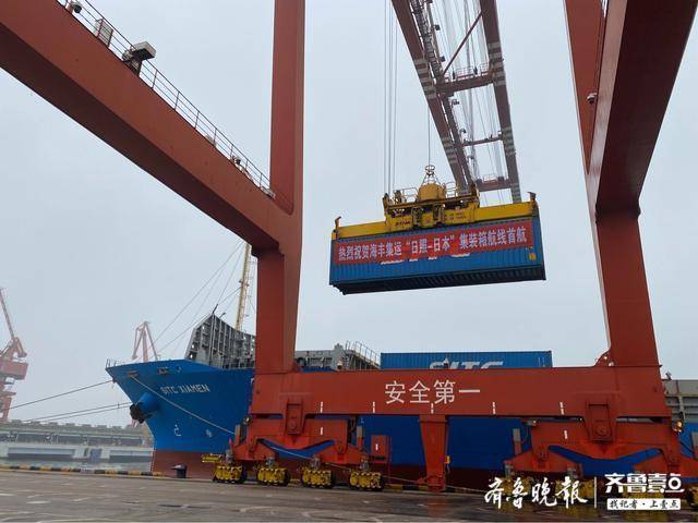 日照房价,日照绿茶价格表