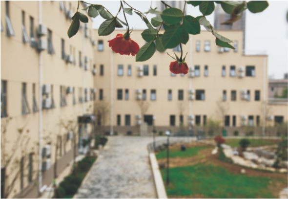 西安丹青易考课程价格,西安丹青易考美术学校22届录取率