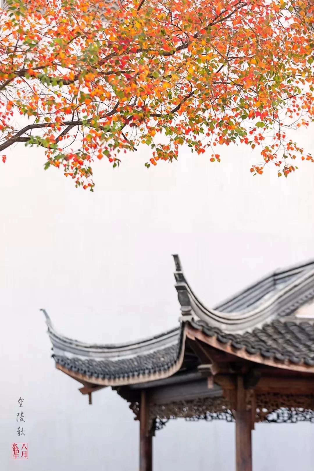 南京天空之镜高清图,中国五大惊艳世界的城市