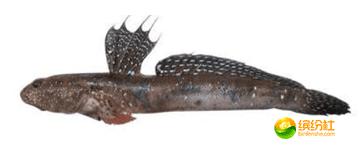 舟山海鲜攻略2天3晚吃什么,舟山海鲜代加工攻略