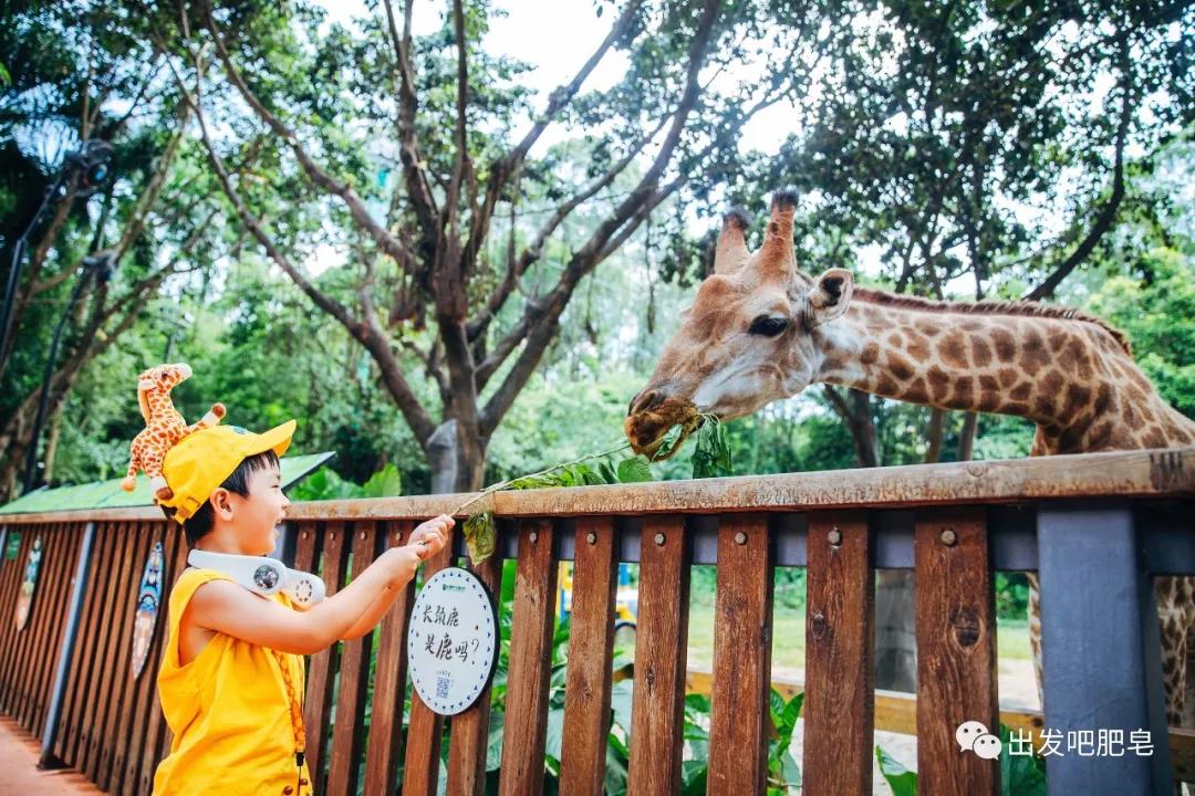 长隆飞鸟乐园怎么去长隆欢乐世界,汉溪长隆地铁站去长隆飞鸟乐园