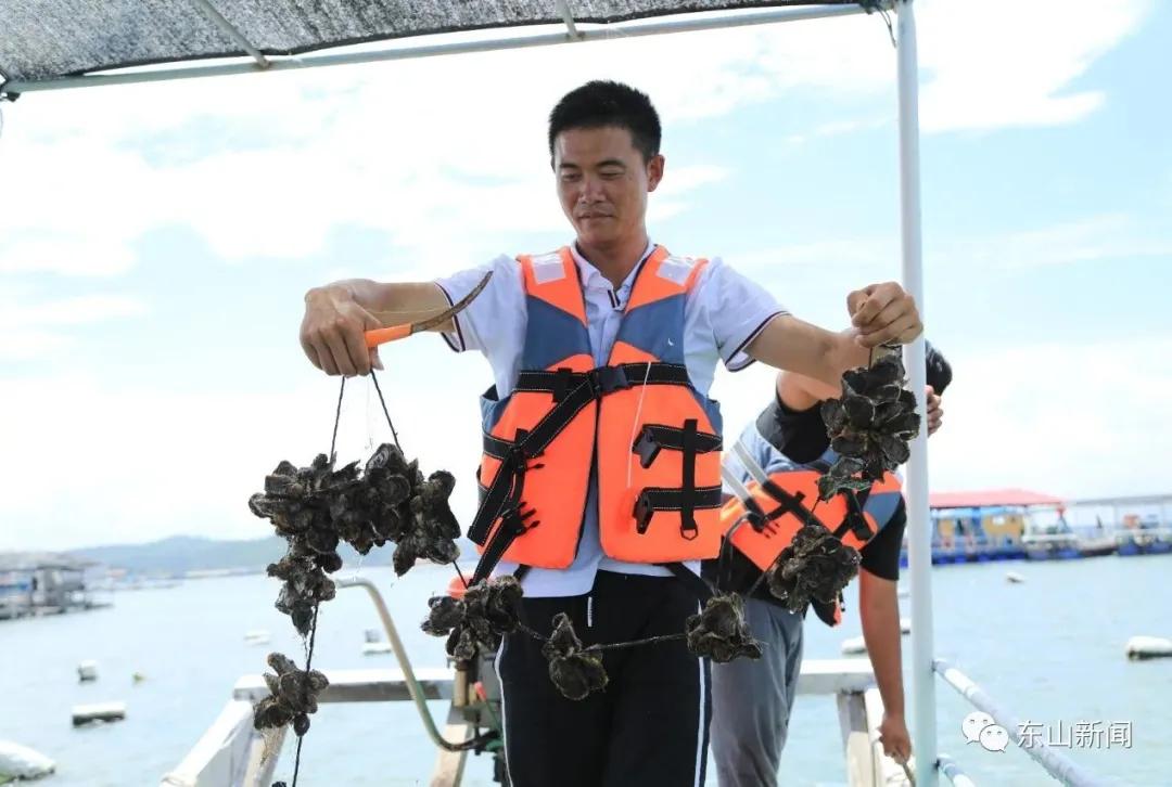 海上去哪玩,东山岛海边哪里有螃蟹抓