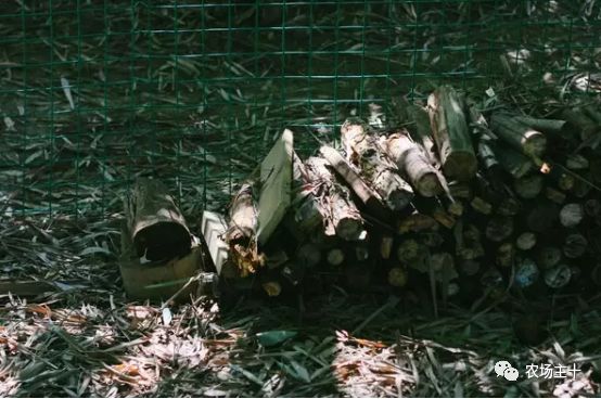 总共花了不到700元改造的废弃小院,花4万改造房子