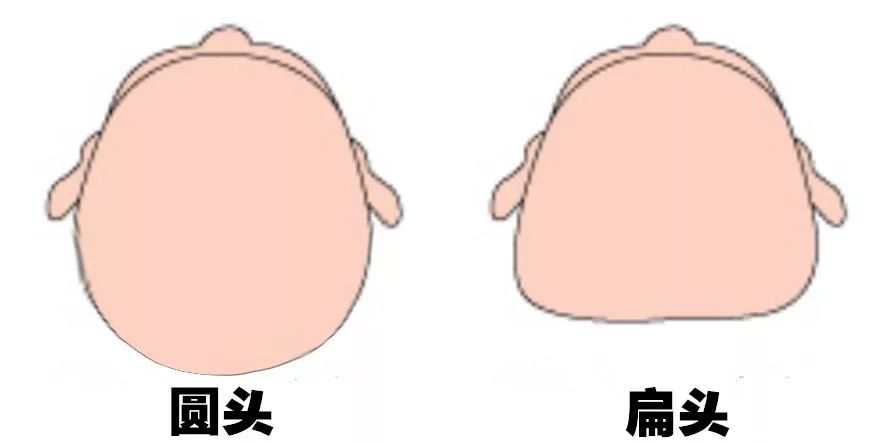 扎马尾后脑勺扁平简单,扎马尾前面扁平怎么弄