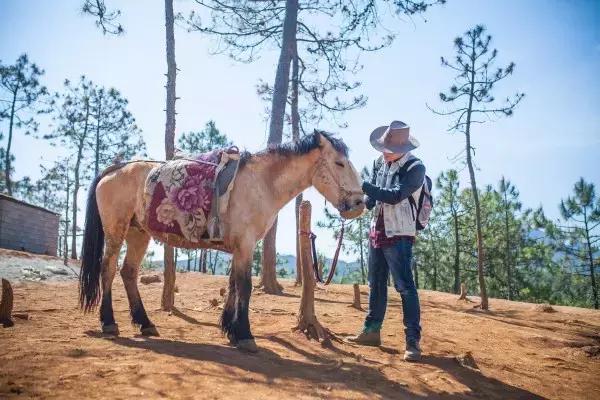 拉市海最快攻略,去拉市海应该怎么玩