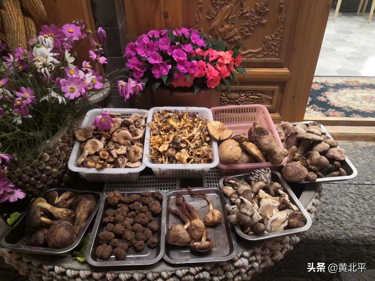 云南省大理市雄远汽车修理厂,云南省大理市景区