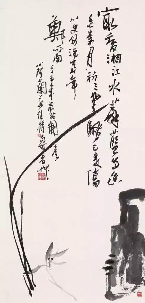 如何画兰花最好看的,君子兰花如何画