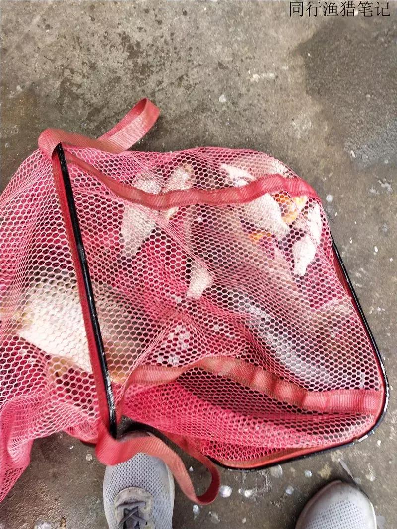 2019钓鱼日志,钓鱼笔记1