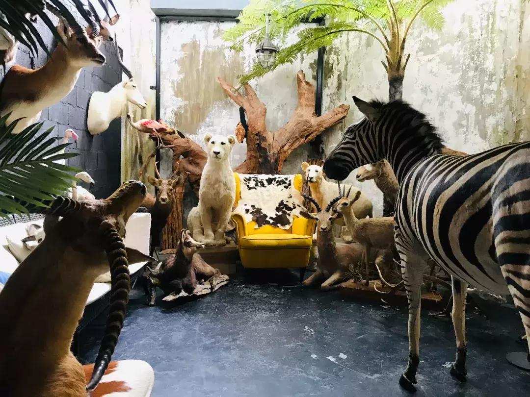 别再去曼谷的大众景点打卡了，换一种方式感受生活