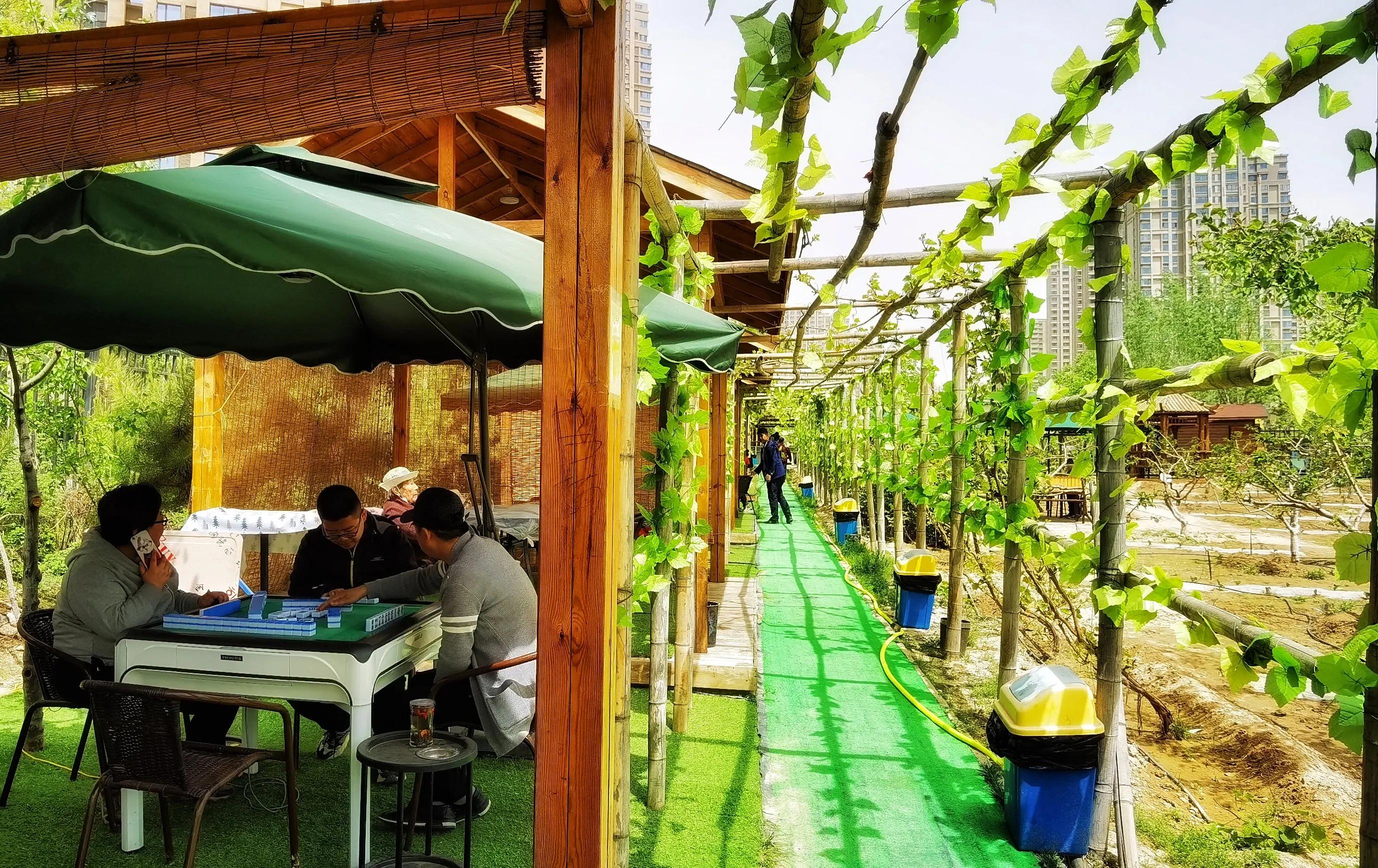 兰州碧桂园凤苑农家乐,兰州凤园农场