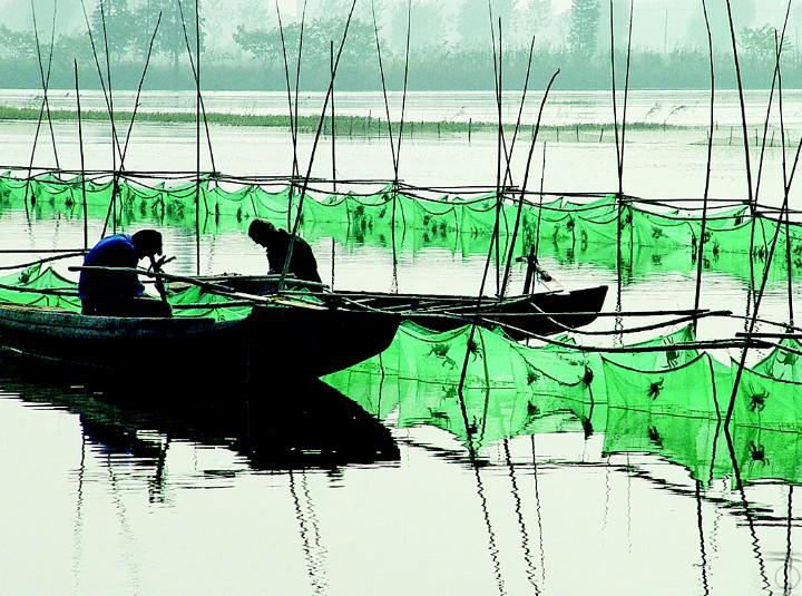 安徽当涂县百强县排名,当涂县五年规划