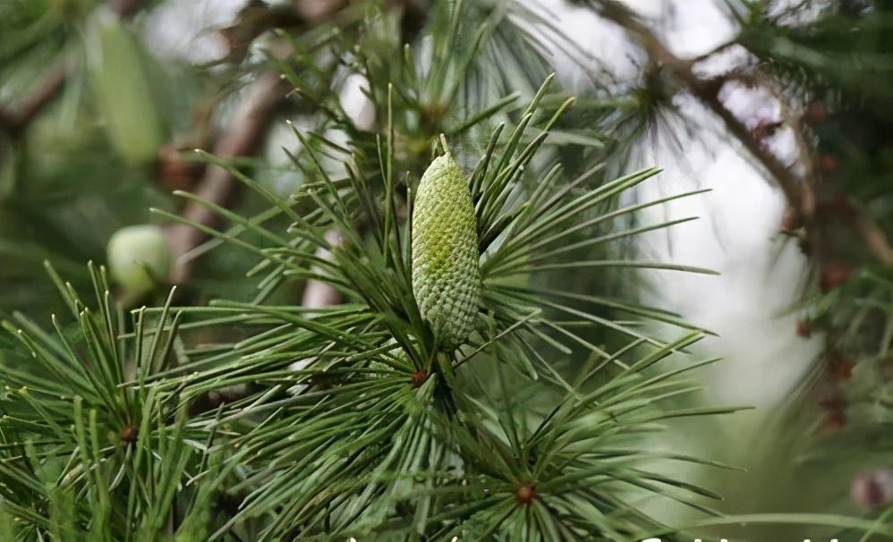 信仰之地小说,信仰之地信仰