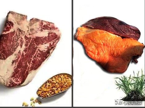 网上卖的内蒙牛肉为啥便宜,网购内蒙牛肉为什么那么便宜