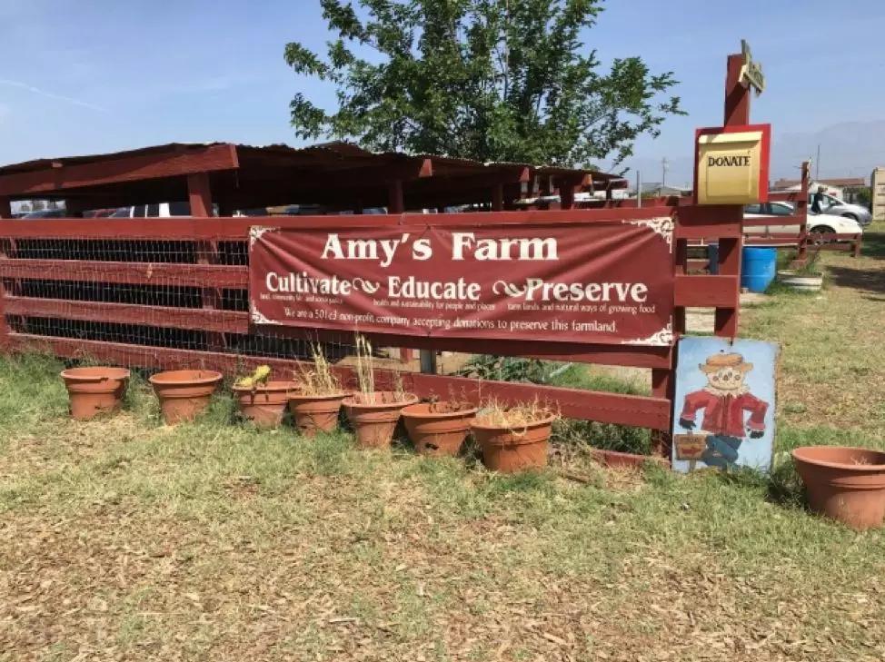 农庄餐饮怎么经营赚钱,怎么经营农家乐卖菜生意