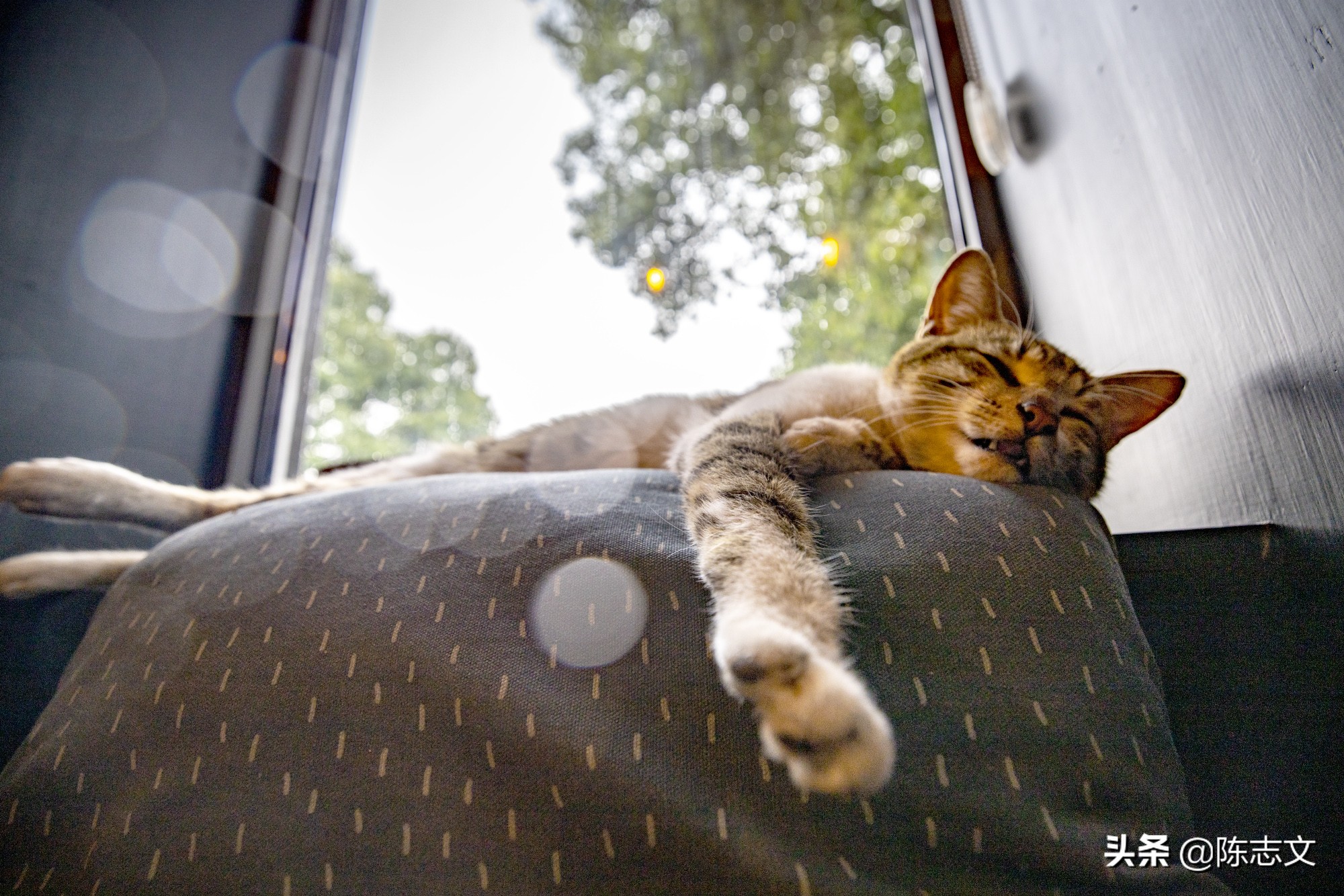 苏州有一座单独的山,苏州有座佛的山