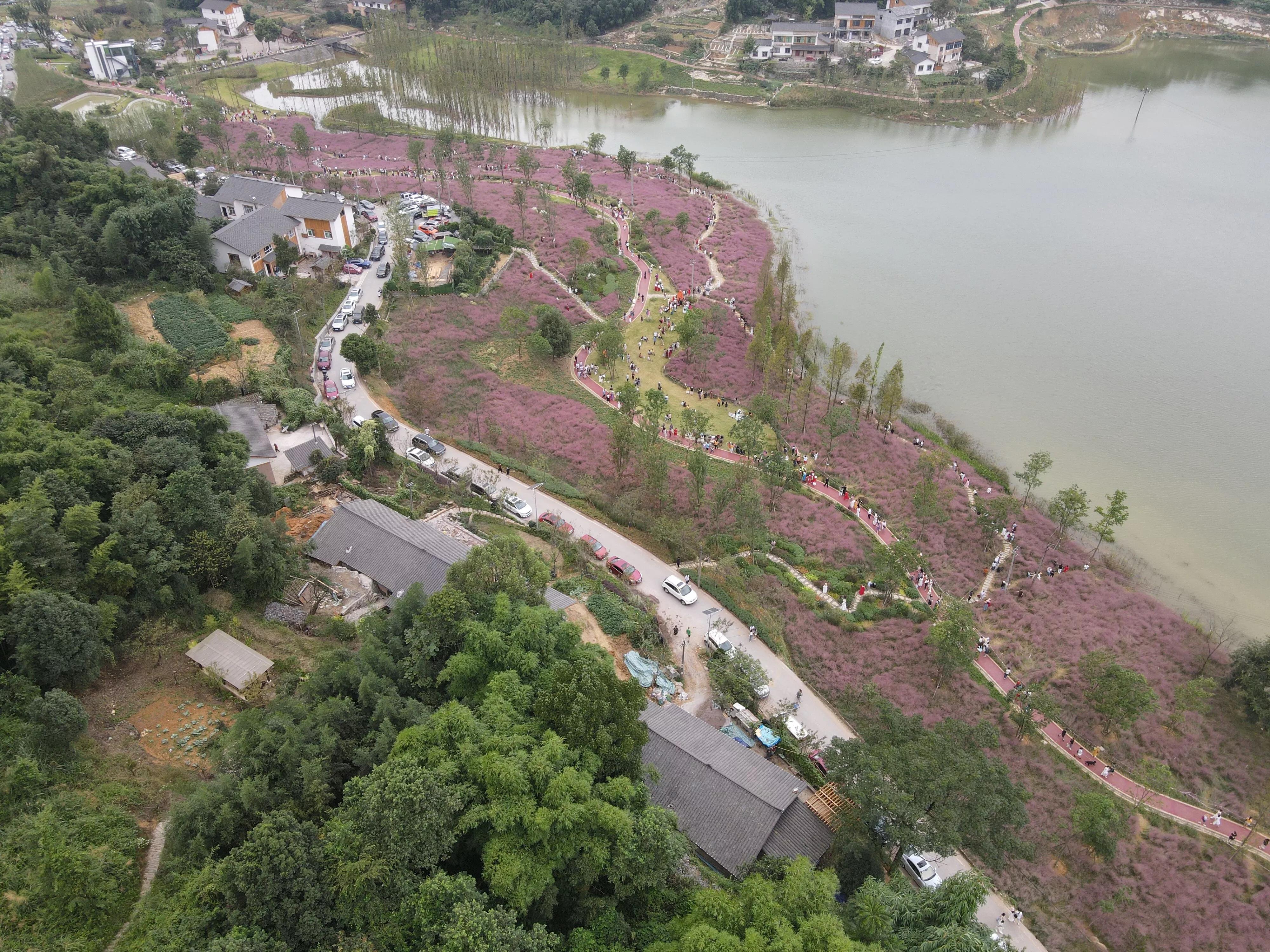 斐然湖和荷塘月色哪个好玩,中梁镇斐然湖公园最近动态