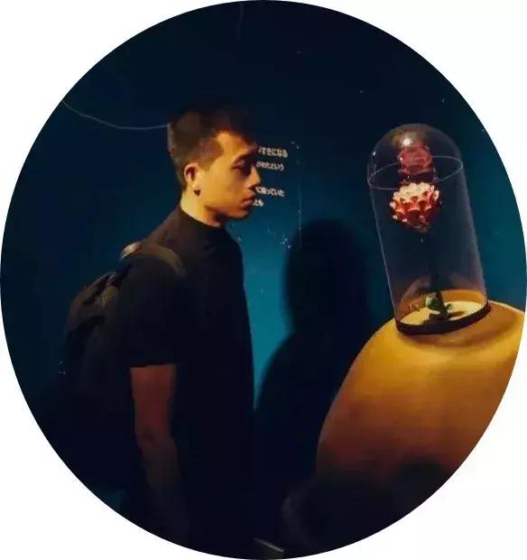 小王子中文版安东尼书籍,小王子英语版翻译直播