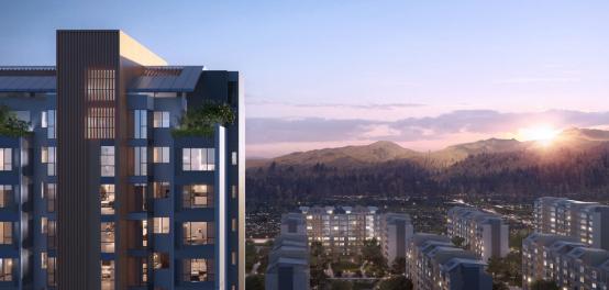 榫欐鼎涓伴敠,榫欐鼎涓伴敠椤圭洰