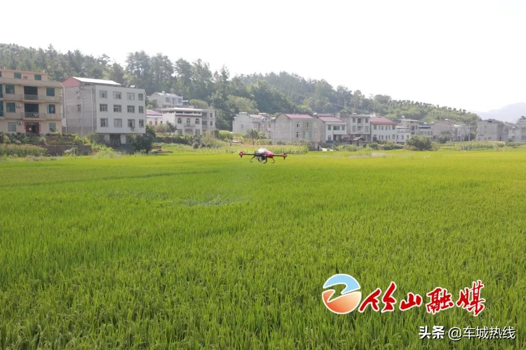 十堰守护美丽河湖,守护竹山