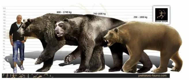 地球最大动物蓝鲸两百吨体重,地球最大的动物是什么动物