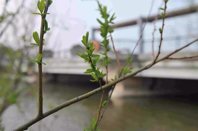 临港适合看书的地方,上海临港有没有读书的地方