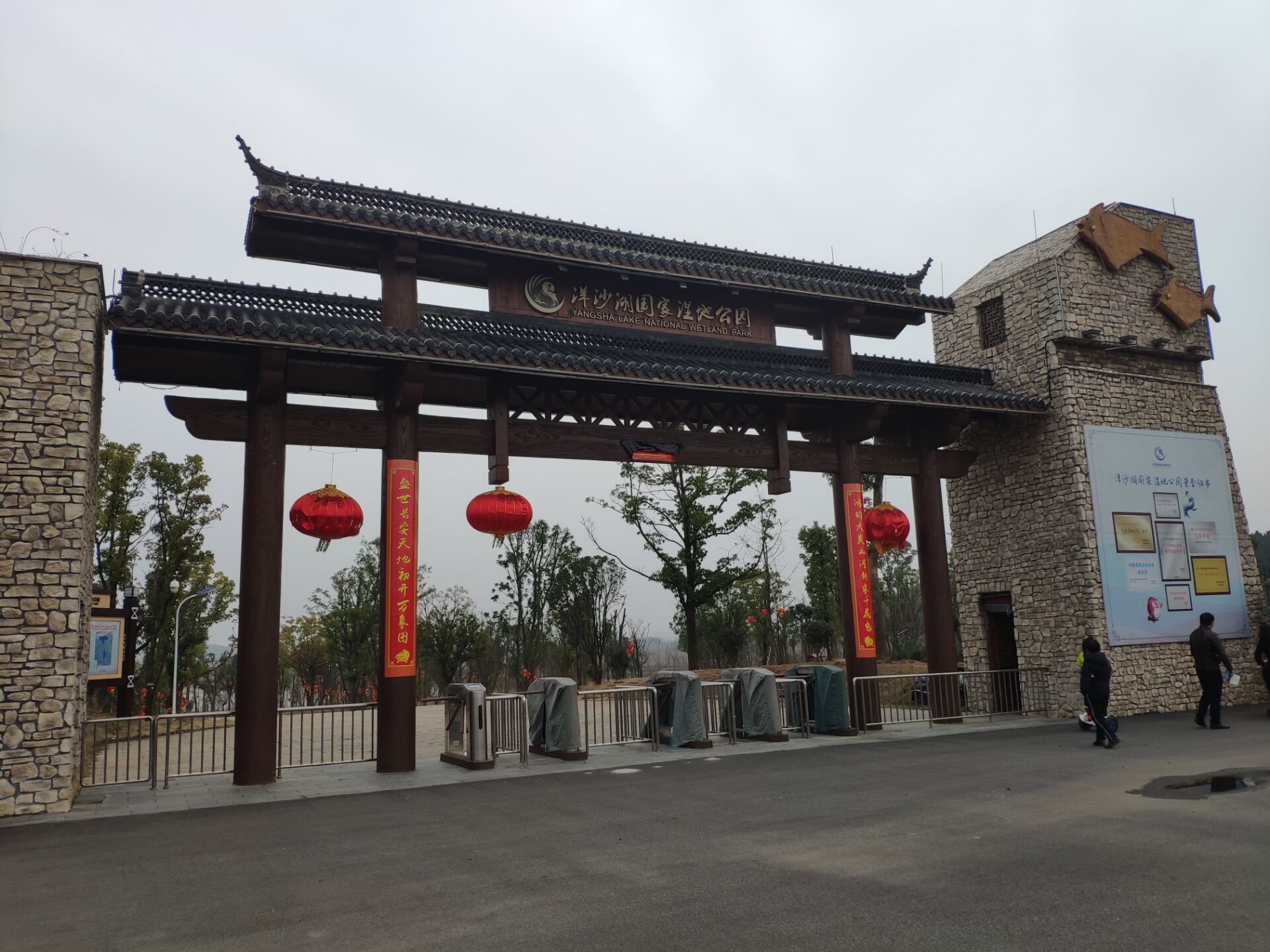 洋湖国家湿地公园,洋沙湖国家湿地公园马鞭草