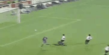 罗纳尔多奔袭,罗纳尔多三国加点