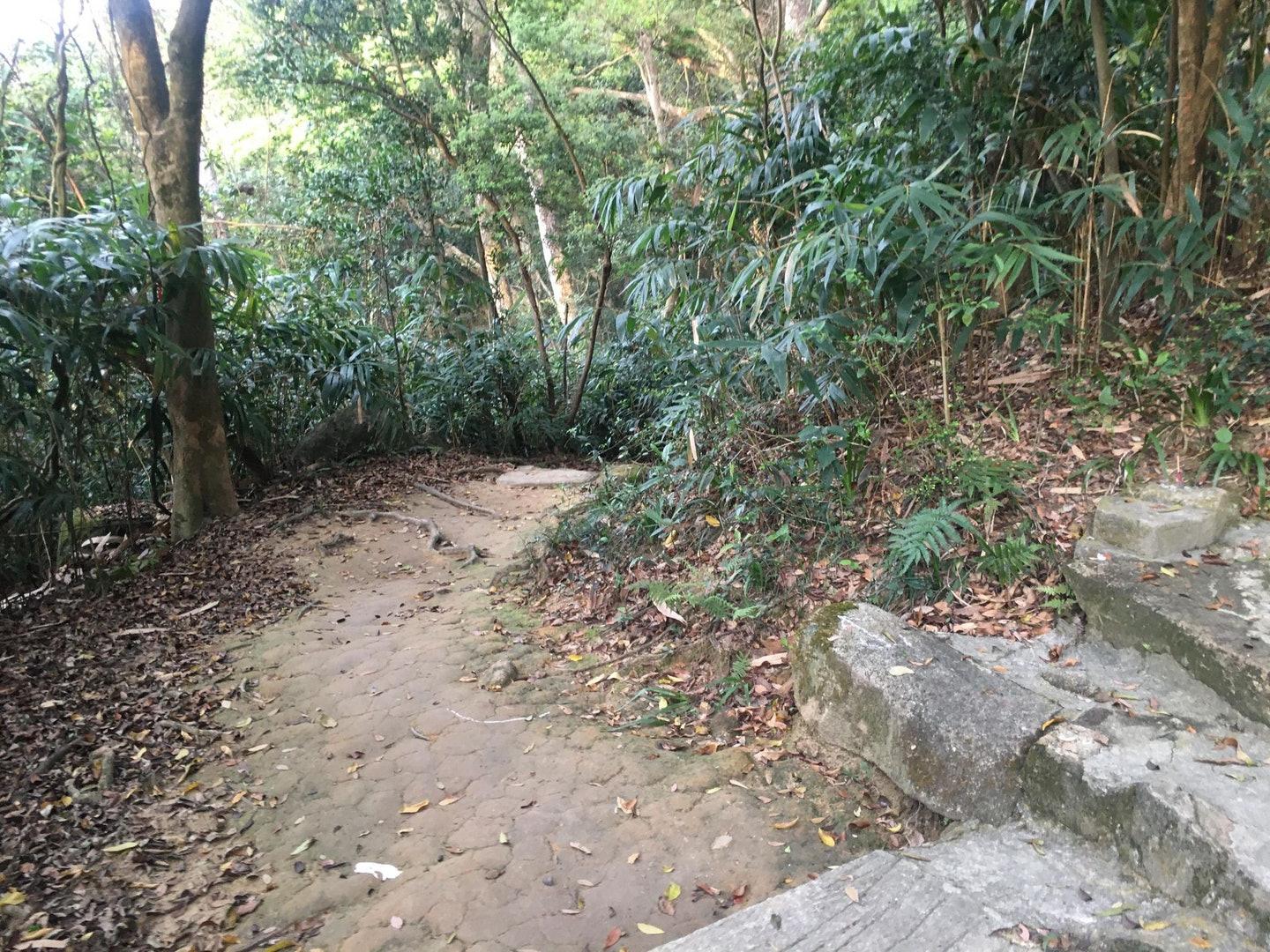 阿迪达斯terrex鞋评测,adidas阿迪达斯terrextechrock